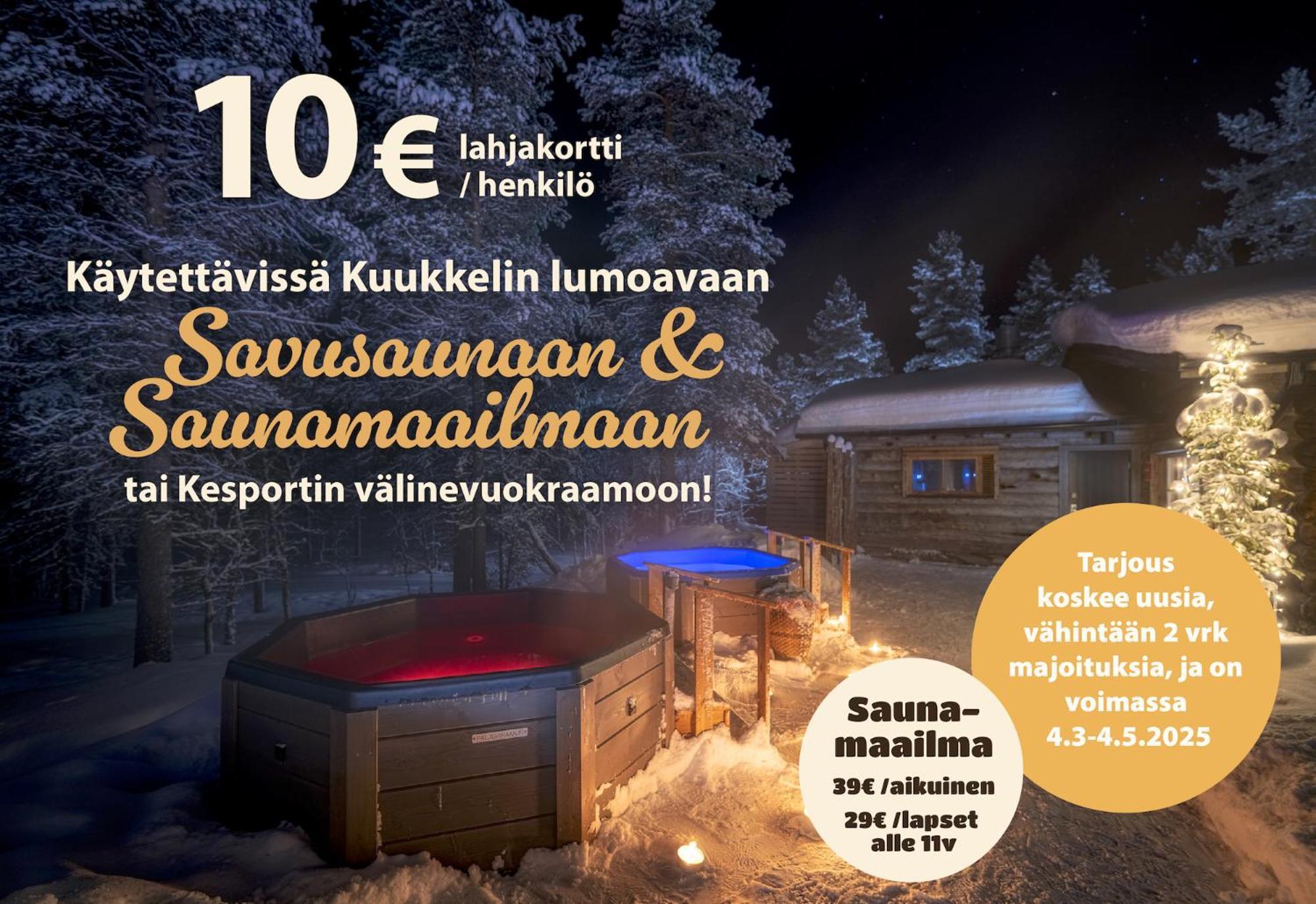 סאריסלקה Kuukkeli Log Houses Teerenpesae - Premium Suite A48 מראה חיצוני תמונה